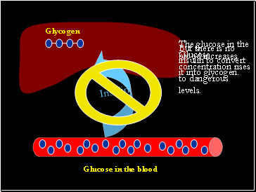 The glucose in the blood increases.