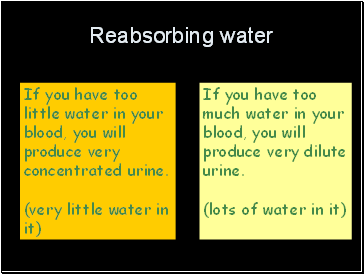 Reabsorbing water