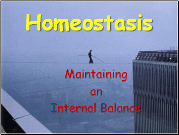 Homeostasis