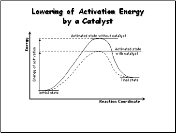 Lowering of Activation Energy by a Catalyst