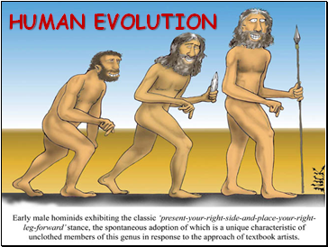 Human Evolution