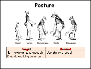 Posture