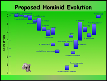 Proposed Hominid Evolution
