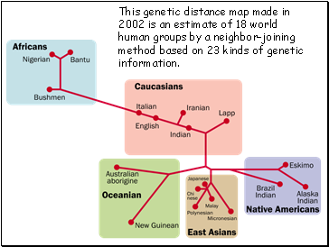 This genetic distance map made in 2002 is an estimate of 18 world human groups by a neighbor-joining method based on 23 kinds of genetic information.
