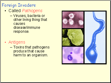 Foreign Invaders