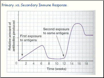 Primary .vs. Secondary Immune Response