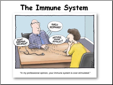 Immune System