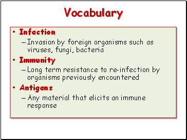 Vocabulary