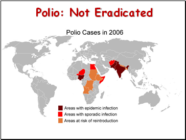 Polio: Not Eradicated
