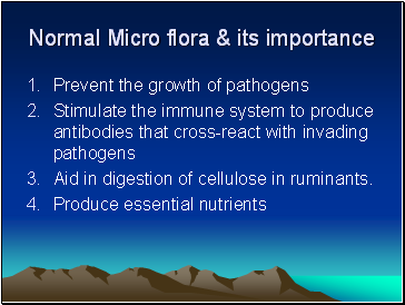 Normal Micro flora & its importance