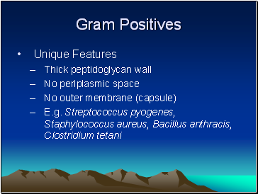 Gram Positives