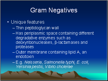 Gram Negatives