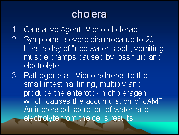 Cholera