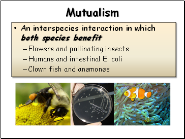 Mutualism