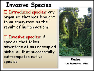 Invasive Species