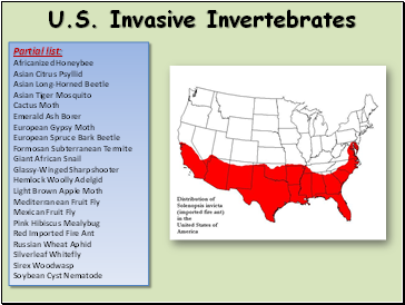 U.S. Invasive Invertebrates