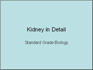 Kidneys