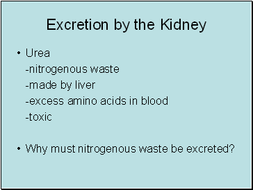Excretion by the Kidney