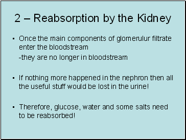 2 – Reabsorption by the Kidney