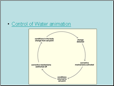 Control of Water animation