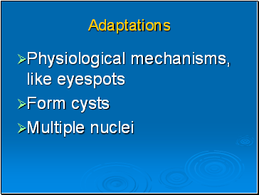 Adaptations