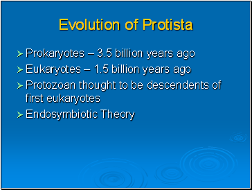 Evolution of Protista