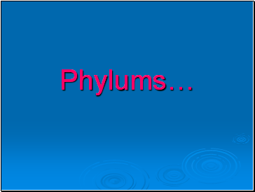 Phylums…