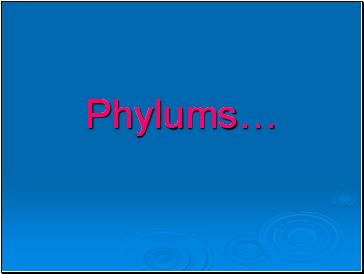 Phylums