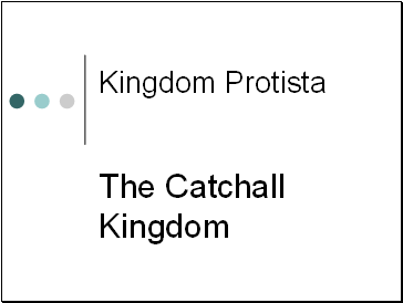 Kingdom Protista