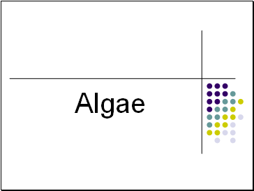 Algae