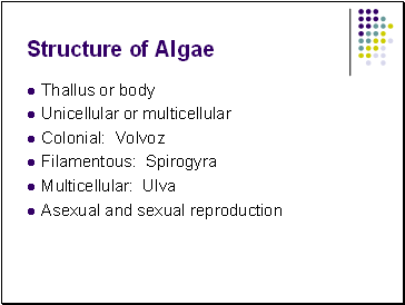 Structure of Algae