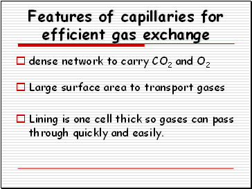 Features of capillaries for efficient gas exchange