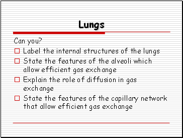 Lungs