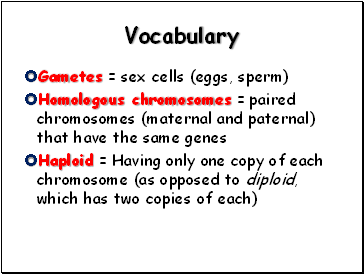 Vocabulary