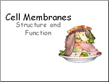 Cell Membranes