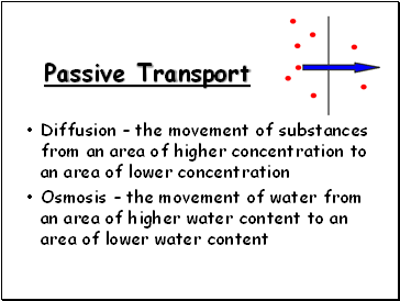 Passive Transport