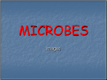 Microbes