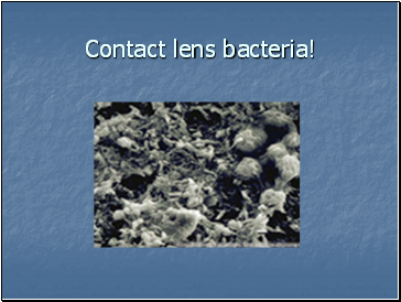 Contact lens bacteria!