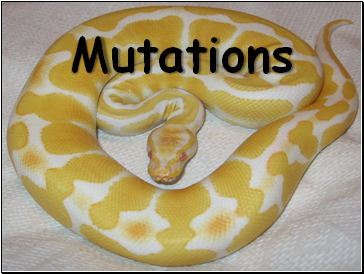 Mutations