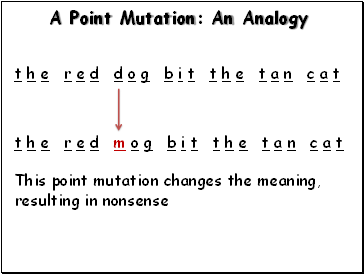 A Point Mutation: An Analogy