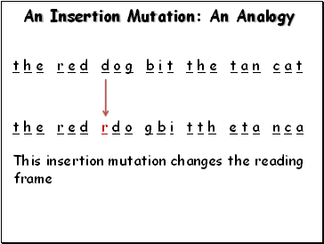 An Insertion Mutation: An Analogy