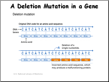 A Deletion Mutation in a Gene