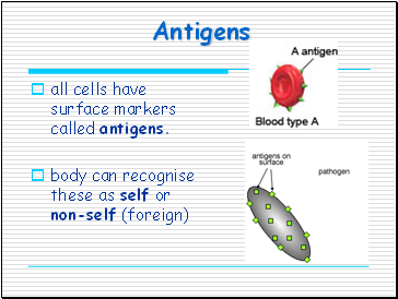 Antigens