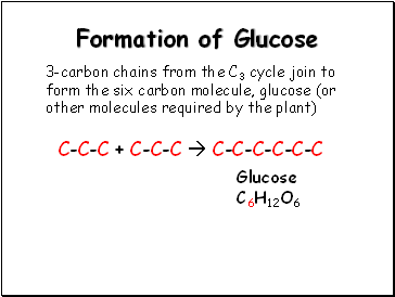 Formation of Glucose