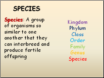 Species