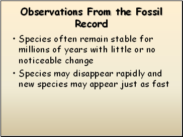 Observations From the Fossil Record