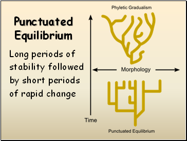 Punctuated Equilibrium
