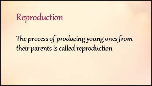 Reproduction