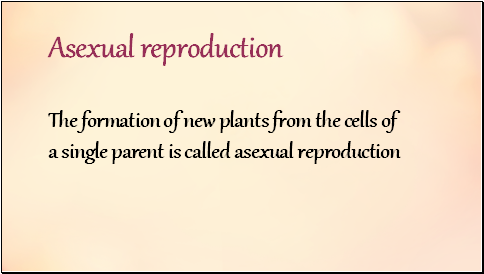 Asexual reproduction