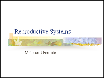 Reproductive Systems